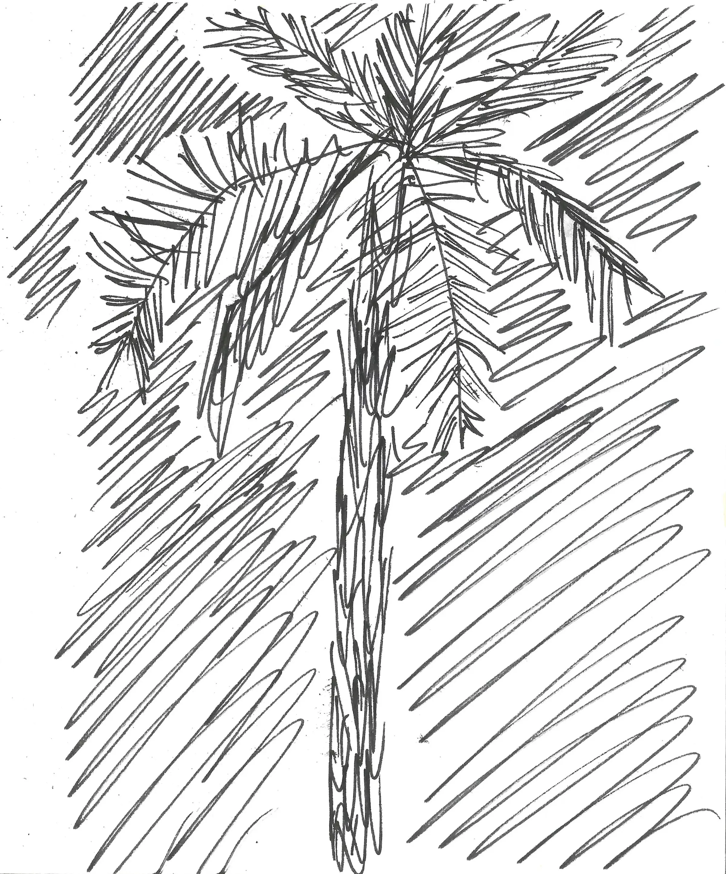 Zagora 1