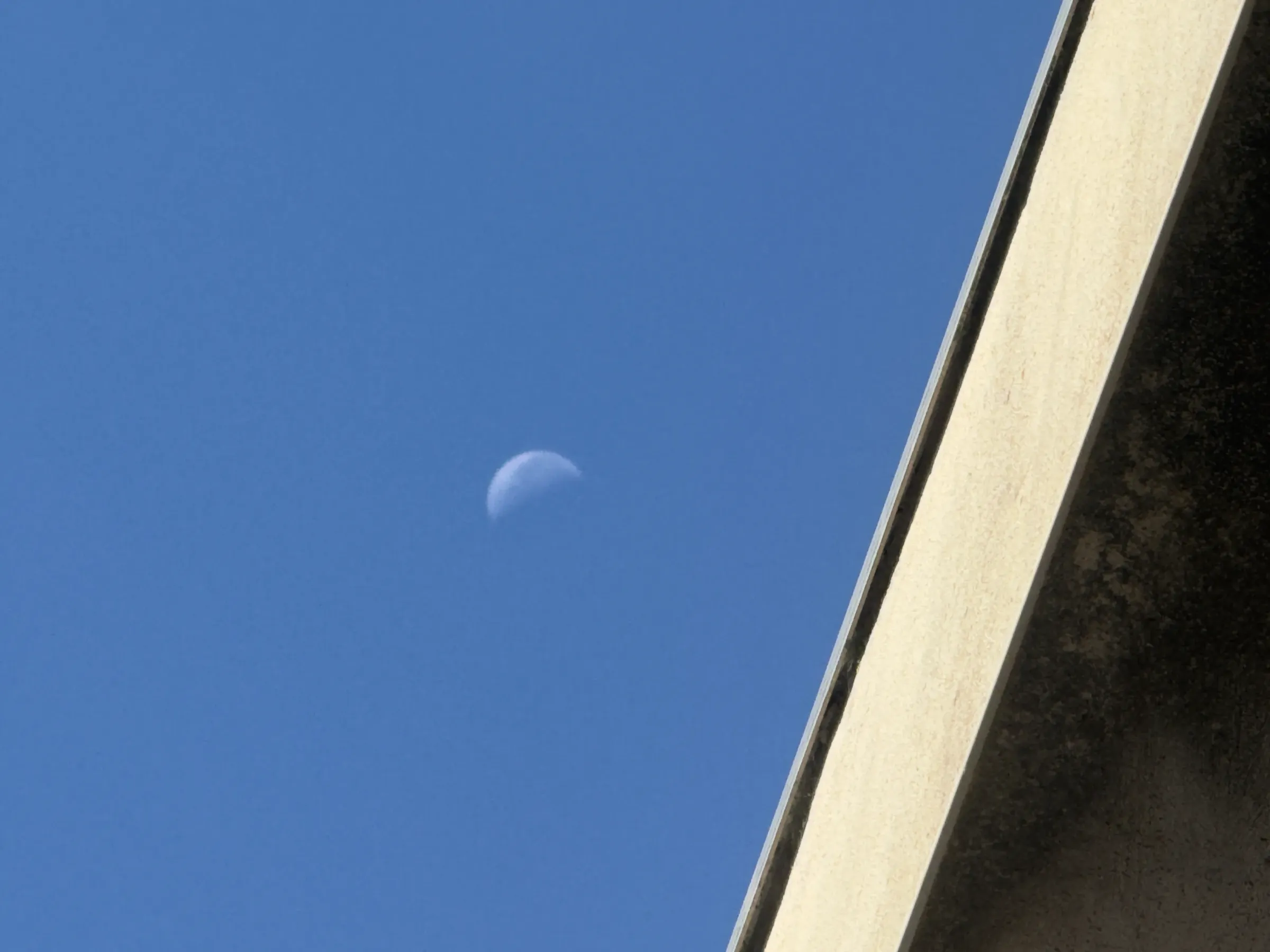 Lune