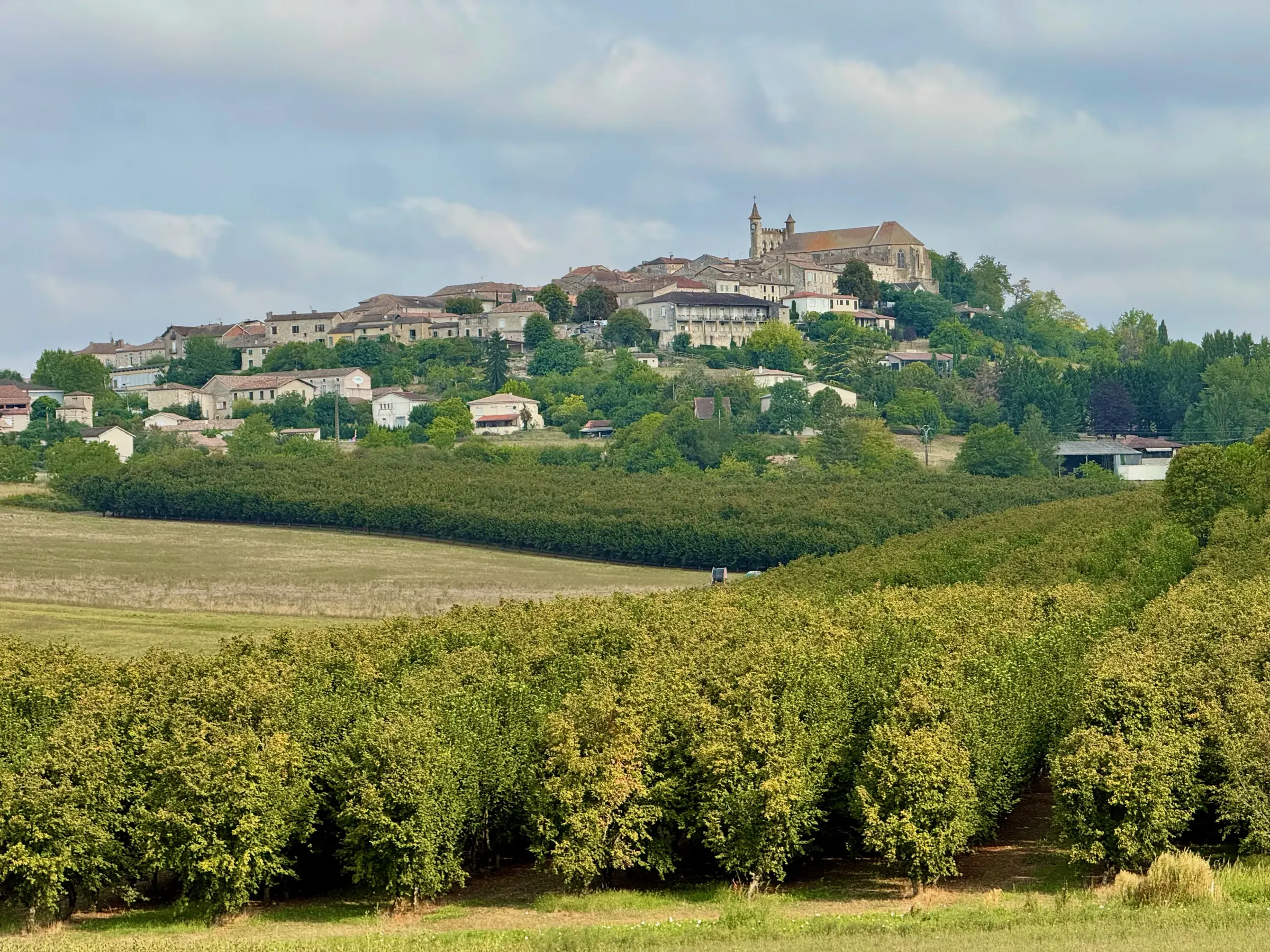 Montflanquin