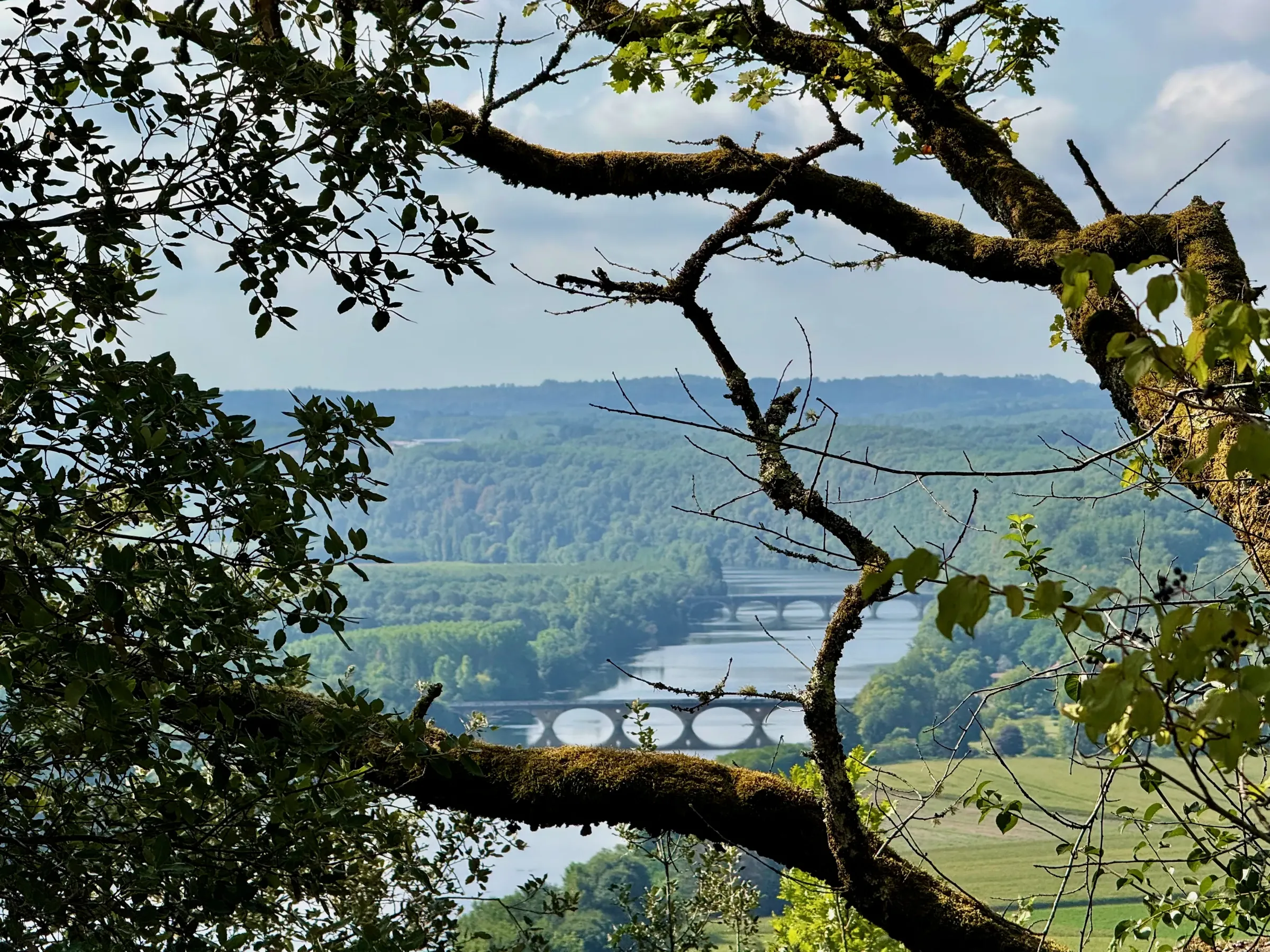 Dordogne