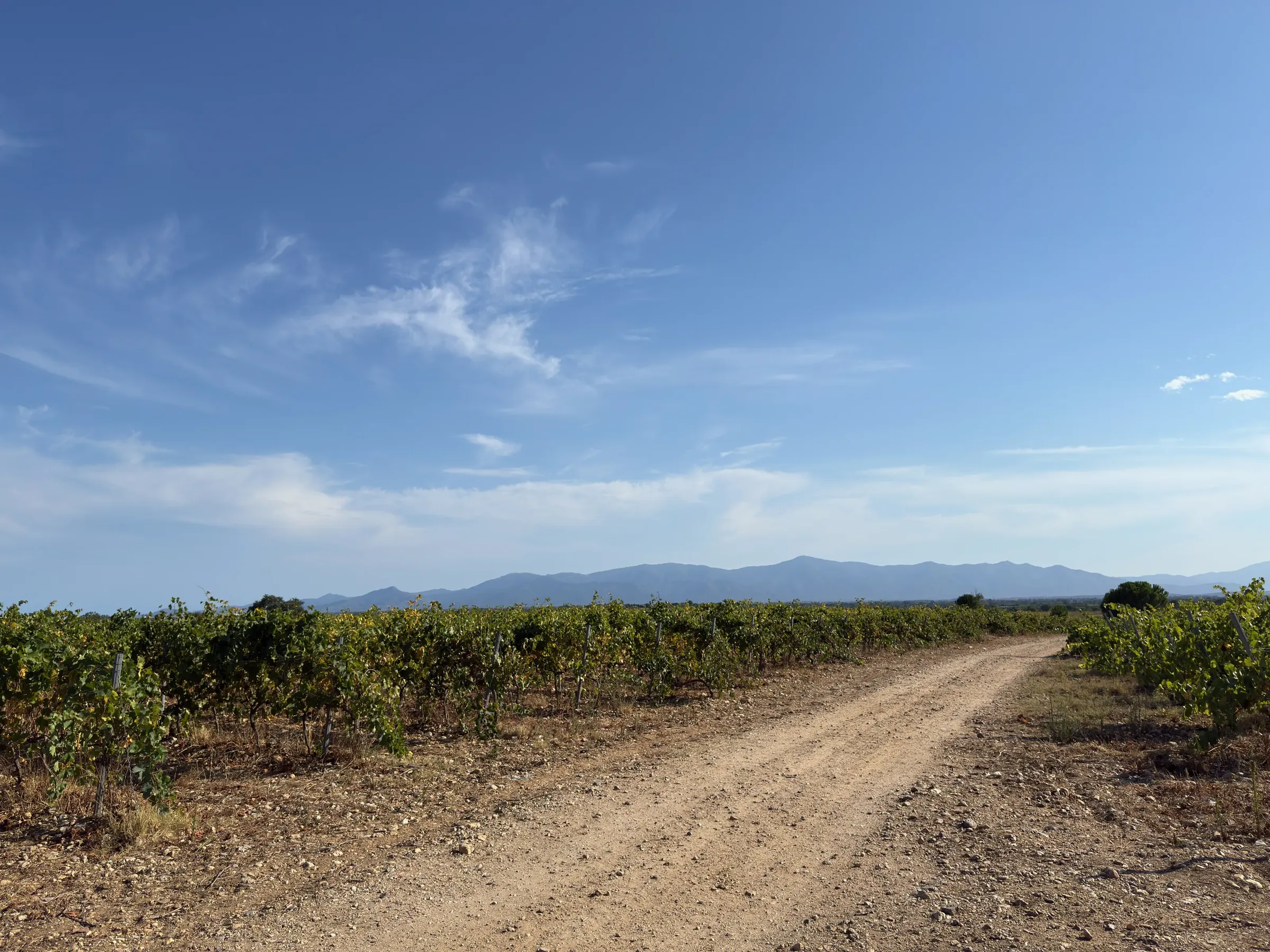 Vers les Albères