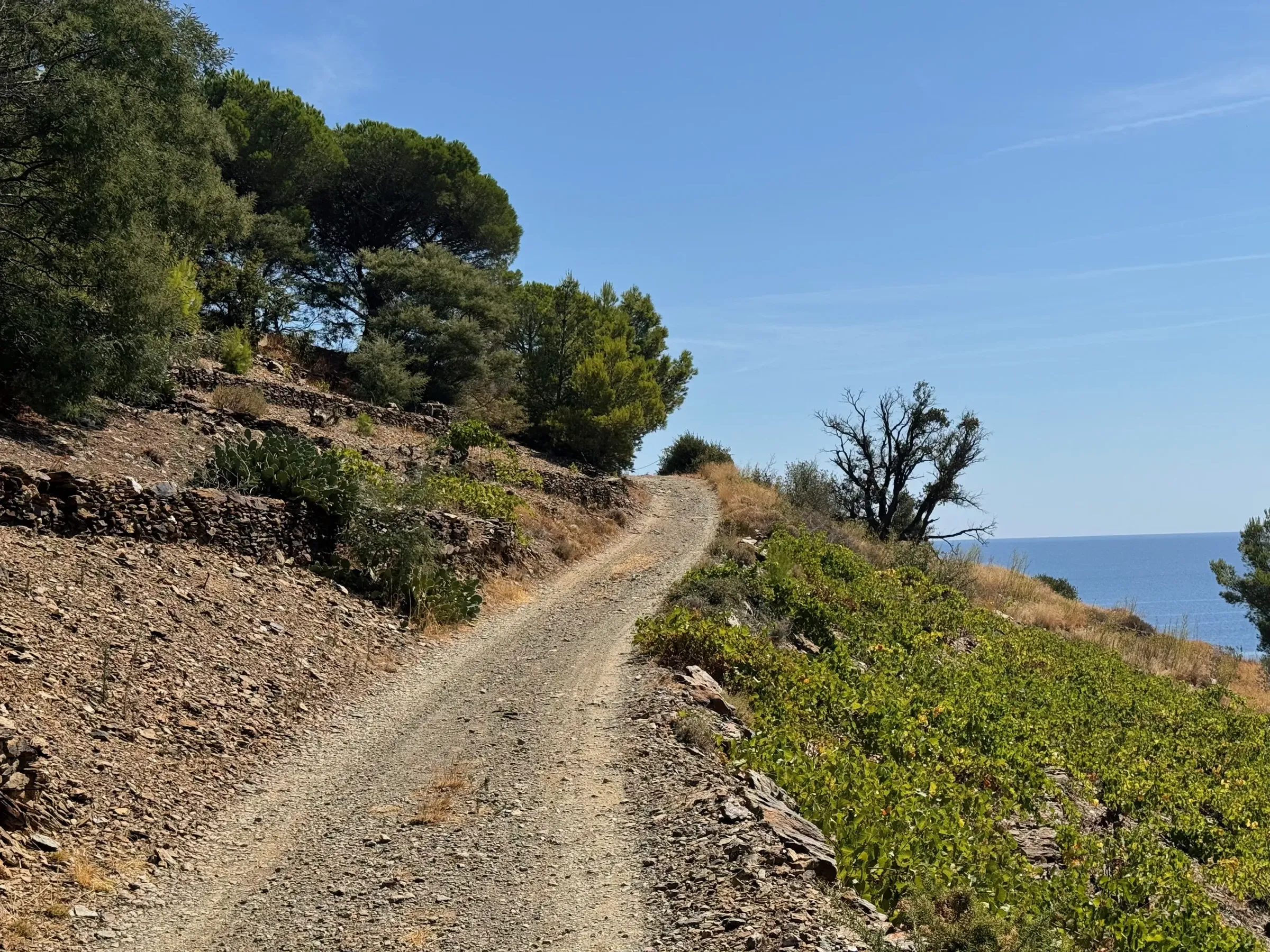 On passera pas là